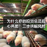 为什么你的投资总是提心吊胆？三步拆解风险，让收益回归安心（图1）