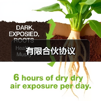 有限合伙协议 有限合伙协议