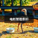 电影管理条例 电影管理条例